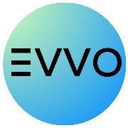 EVVO INC