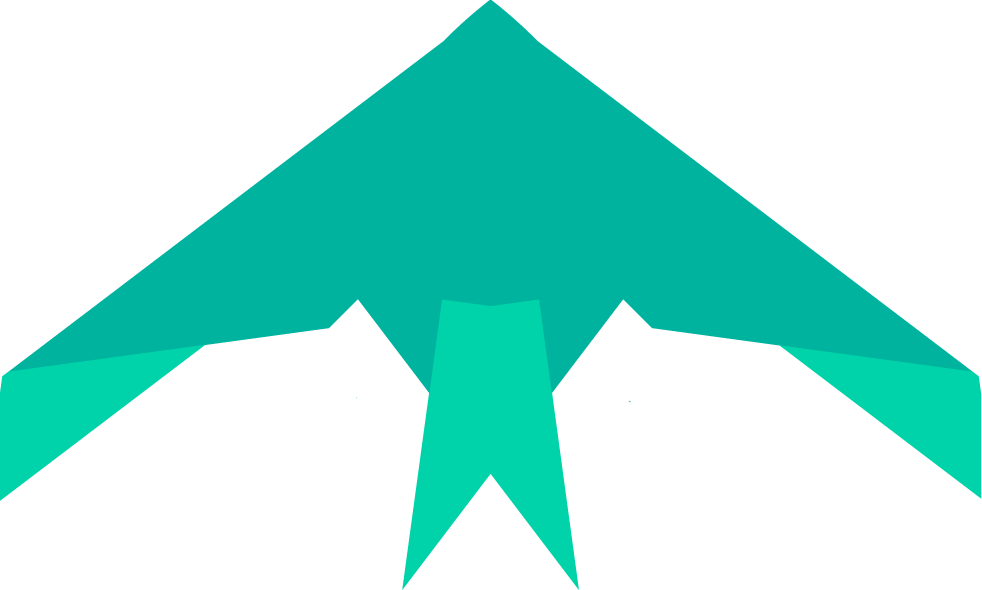 Nighthawk