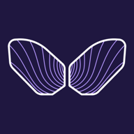 WallFly