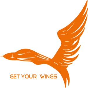 Get Your Wings