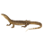 Ghyora