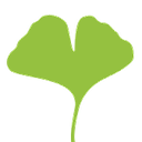 Ginkgo Pharmasoft
