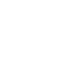 Global Charity Token