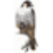 Global Raptor Impact Network