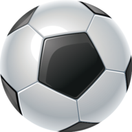 Goalometer