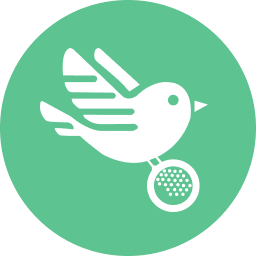 Go Birdie Go