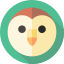 GogoEdu