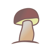 GombaCsoda