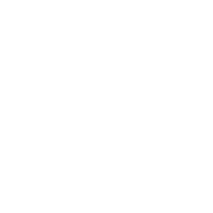 Gotchi