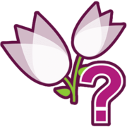 GotFlowers
