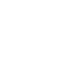 Governance Manager