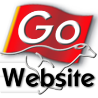 GoWebsite
