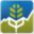 Grain Market