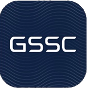 Graphic Security Systems Corporation