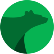 GreenBear
