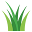 Green Forms