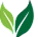 Green Money Loan