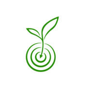 Green Vision Solutions