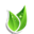 Green Webpage