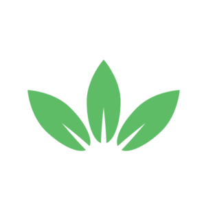 Green Website