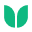 Grove AI