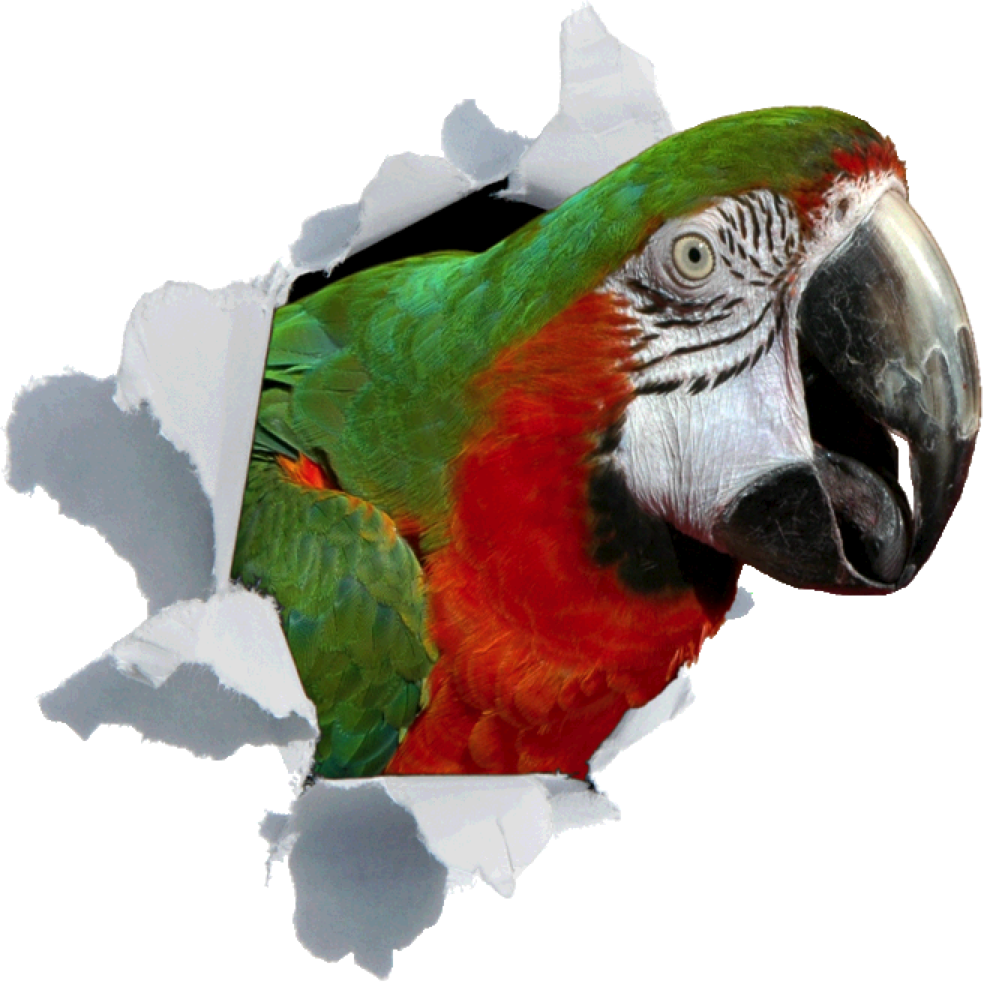 GrowlyBird Software