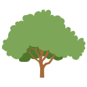 Grow My Tree