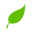 Grow Fresh