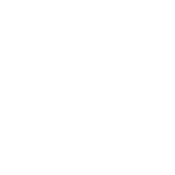 Grupo HDI