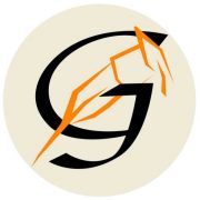Guarani.es