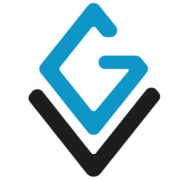 G.V. Security Solutions