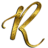 Rasa4d