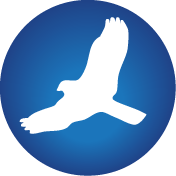 HawkSoft