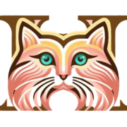 Holistic Character Assessment Toolkit