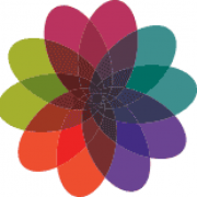 HealthHub Solutions