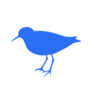 HealthPiper