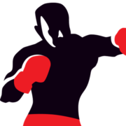Heavy Bag Pro