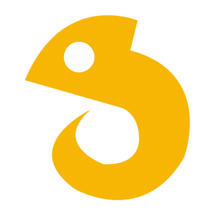ChamVPN