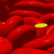 HemoCell