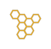 Hive Networks