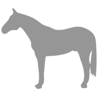 HorseDVM