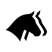 Horse Report System