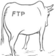 HostedFTP
