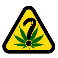 How’s Pot Doing