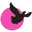 Hundeliv