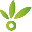 HydroGrow