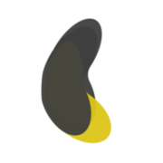 Iberis