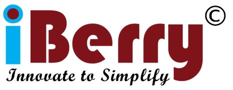 iBerry Solutions