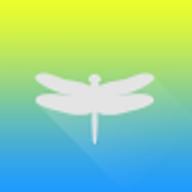 Identifly