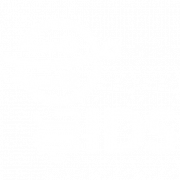 Information Decision Systems